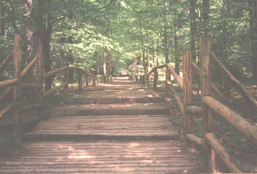 Elbsandstein - rechts